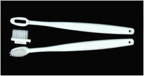 Environment friendly toothbrush